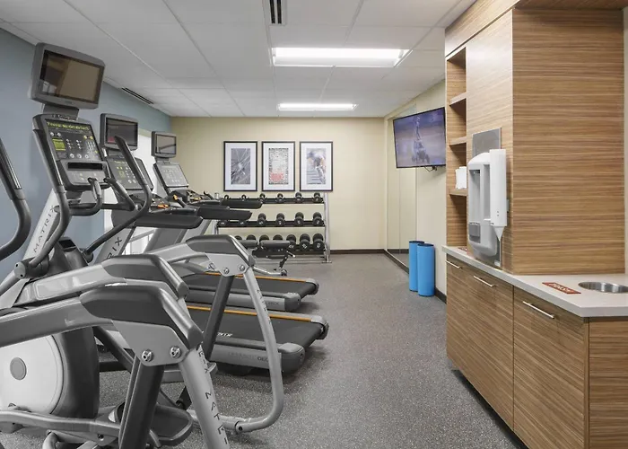 Towneplace Suites By Marriott Tampa South